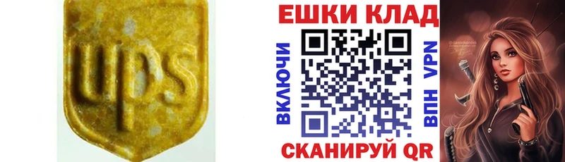 купить закладку  Медногорск  Ecstasy Дубай 