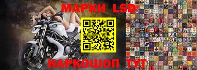 прущие грибы Краснокаменск