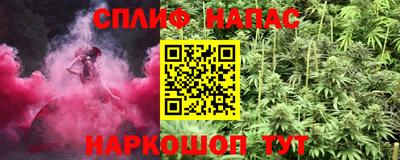 прущие грибы Краснокаменск