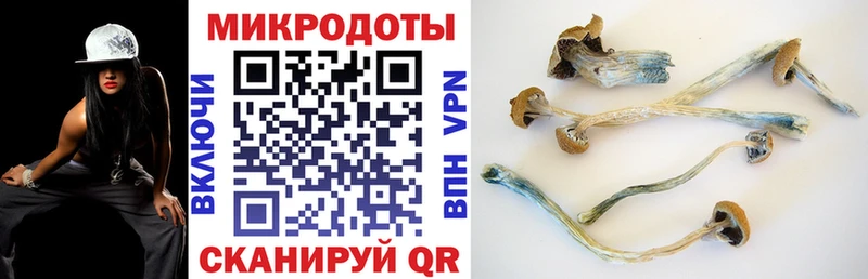площадка Telegram  Медногорск  Галлюциногенные грибы мухоморы 