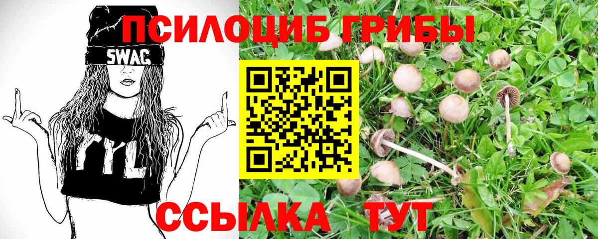 Галлюциногенные грибы Magic Shrooms  Медногорск 