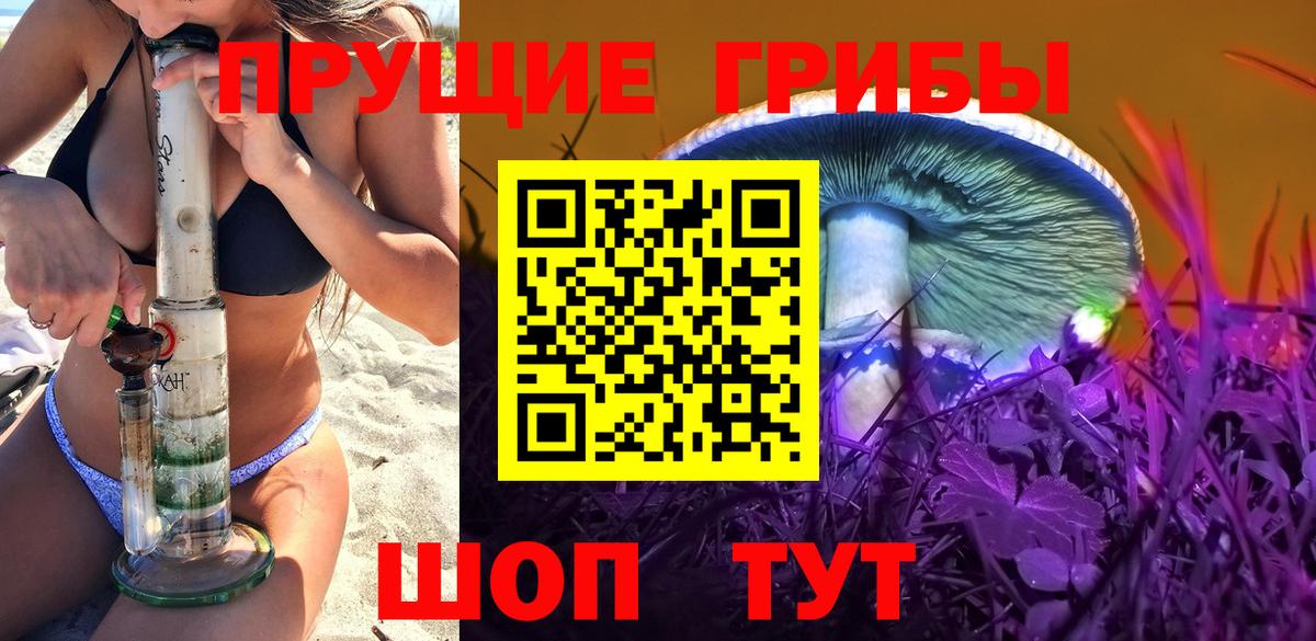 Галлюциногенные грибы прущие грибы  Вход с VPN  Медногорск  Галлюциногенные грибы MAGIC MUSHROOMS 